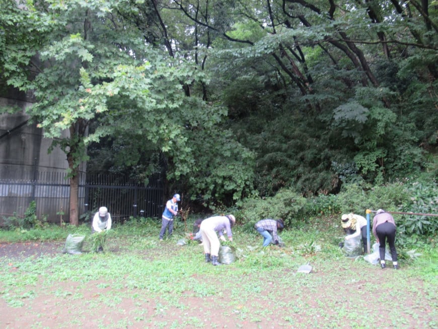 公園愛護会